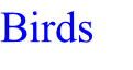 Birds